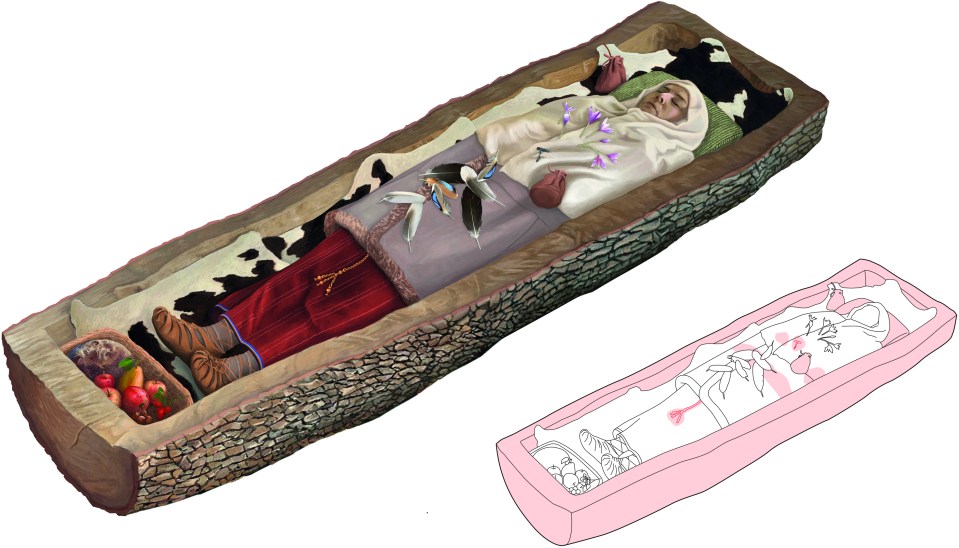  Artist's impression of the woman in her coffin. The coffin was made out of a hollowed tree trunk