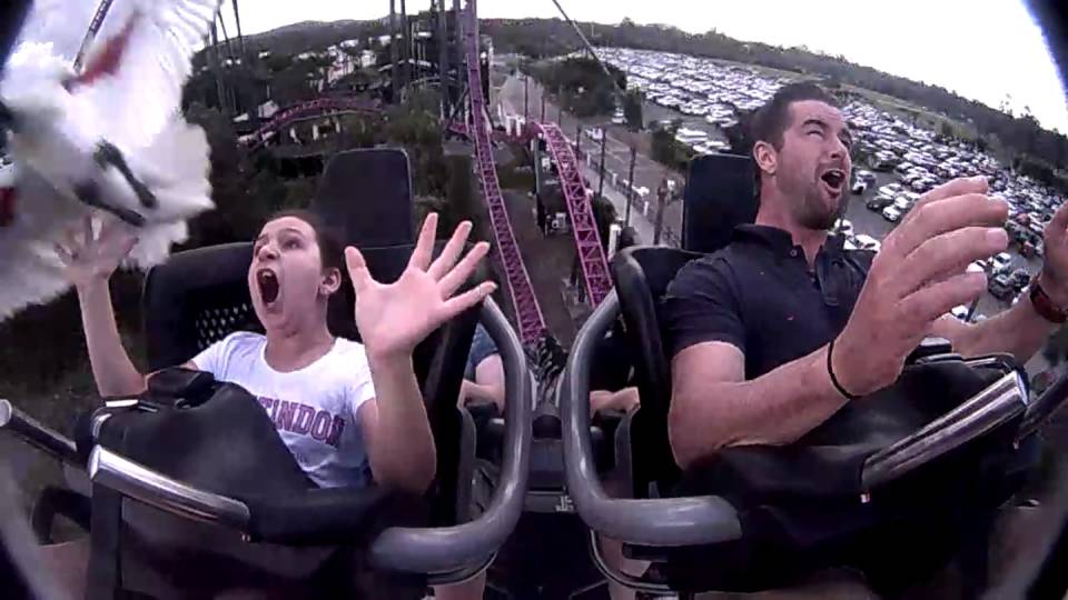  A young girl was slammed in the head by a bird on a roller coaster ride