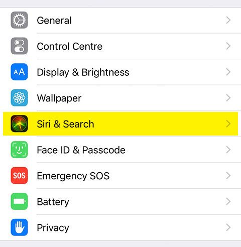  To deactivate the feature, head to your settings and tap "Siri and Search"