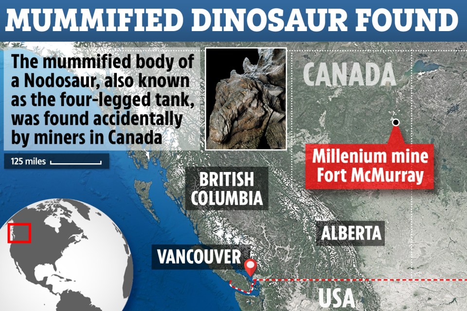  Miners stumbled across the dinosaur in Alberta, Western Canada