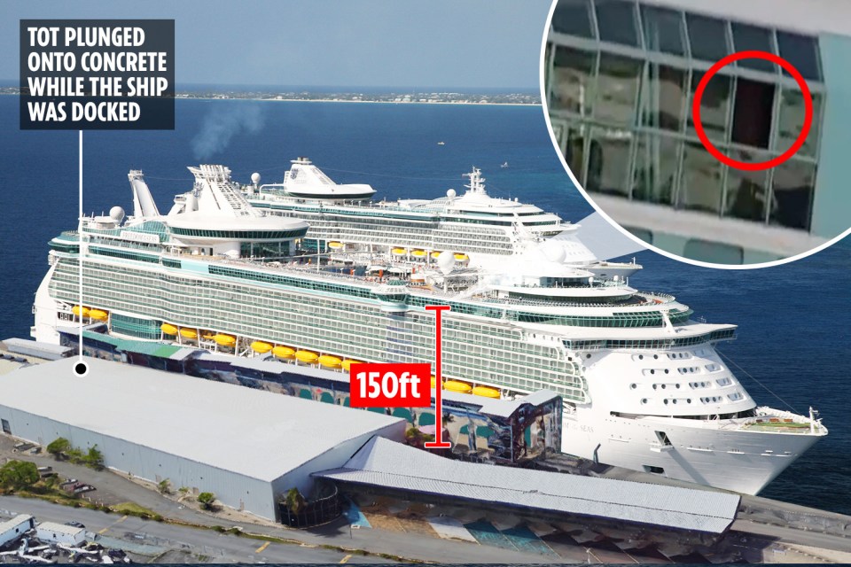  The girl fell from Royal Caribbean's Freedom of the Seas ship and plunged 150ft onto the concrete dock