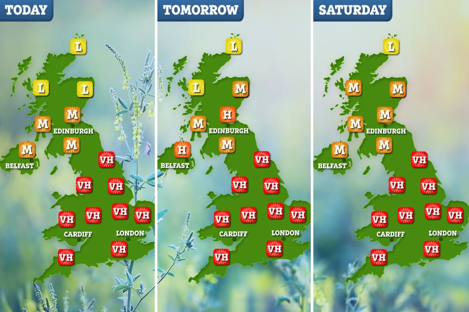  The pollen forecast for the next few days shows levels remain at their highest for most of the country