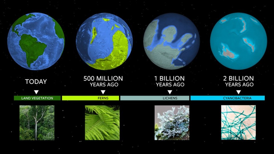 The chart shows that dark green colours spotted on a planet outside our solar system could suggest land vegetation and aqua blue could suggest bacteria