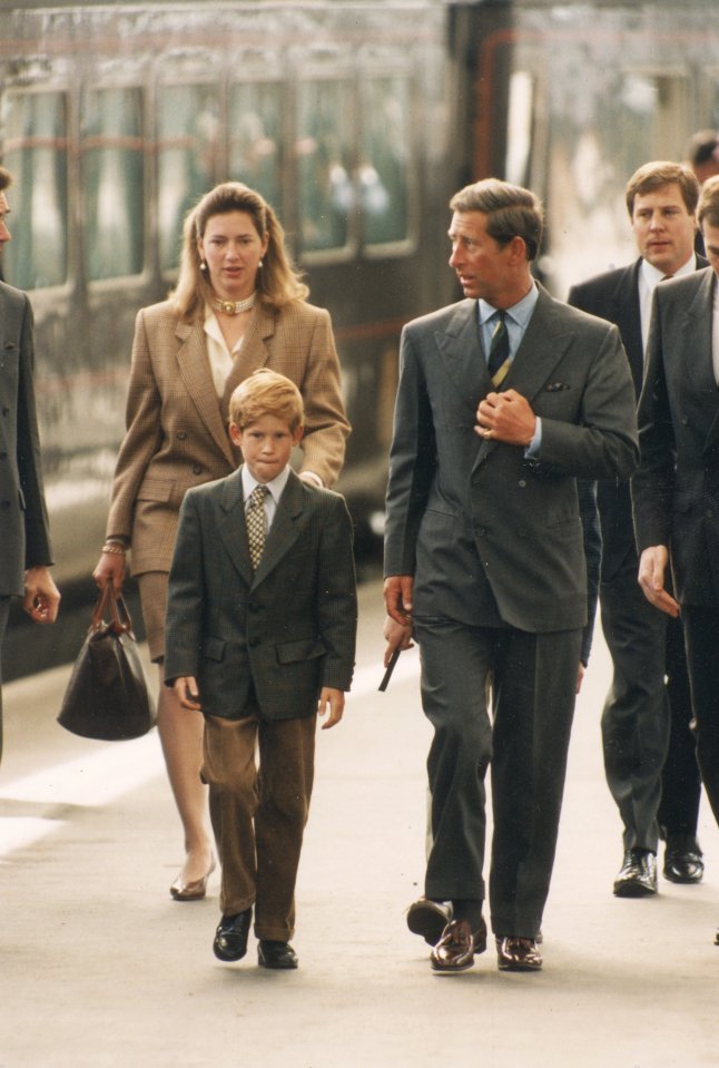 Tiggy can be seen walking behind Prince Harry in 1993