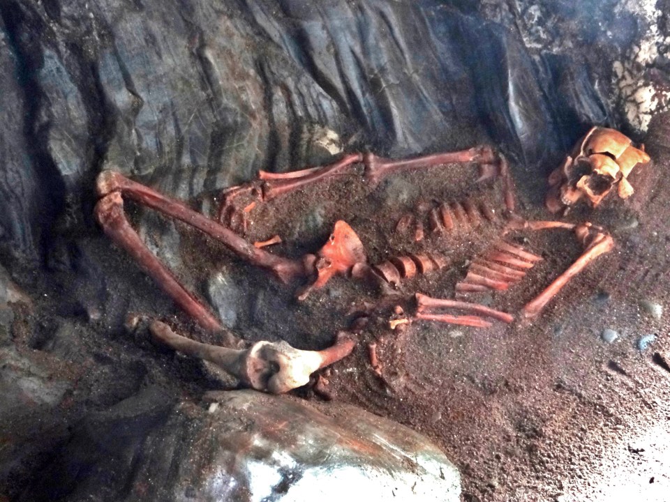  The mysterious skeleton had its skull smashed open and showed evidence of being badly beaten