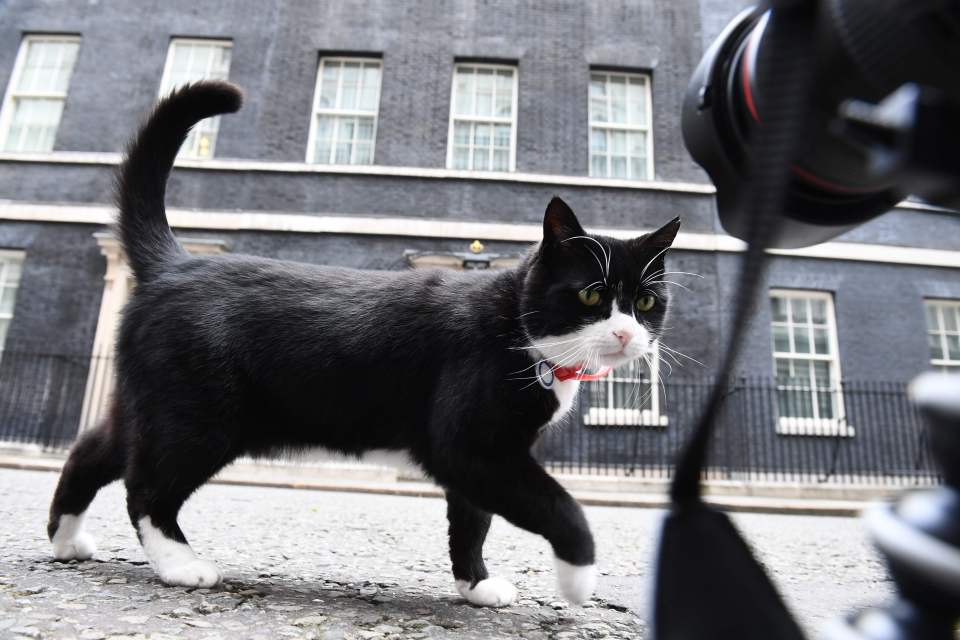 Palmerston works at the Foreign Office