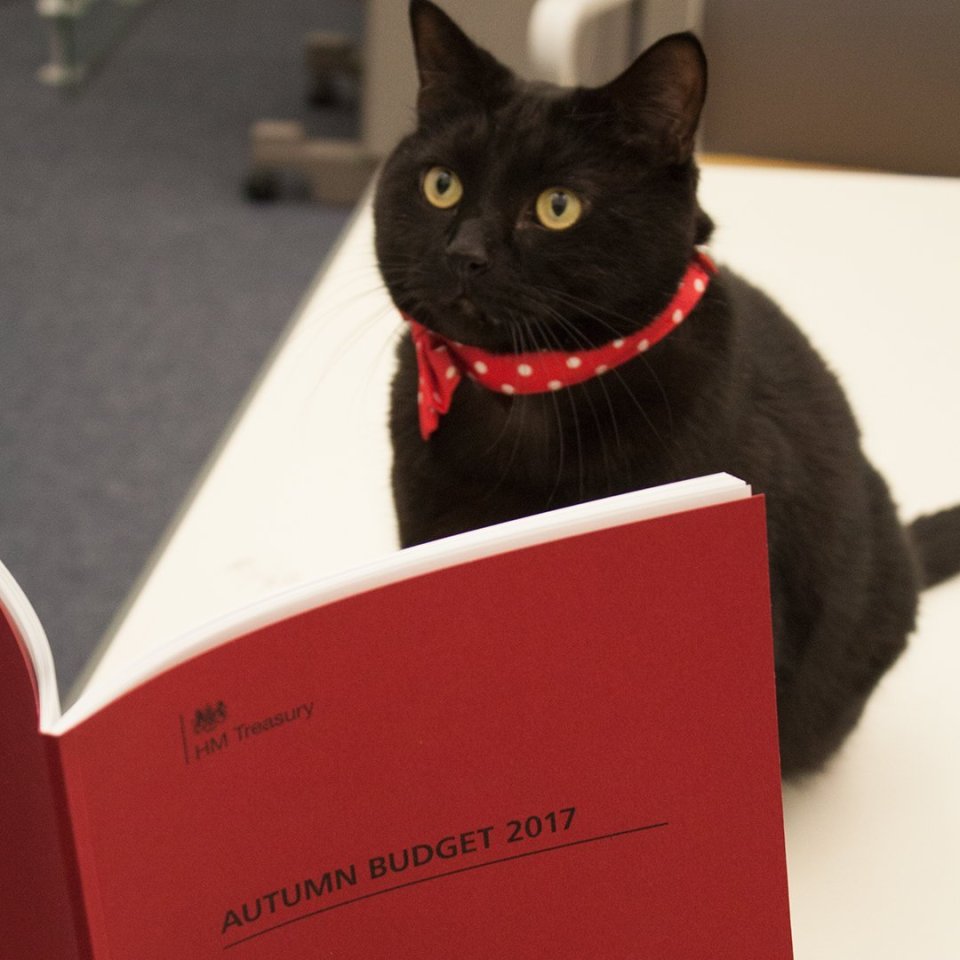 Gladstone the Treasury cat takes an interest in all things money