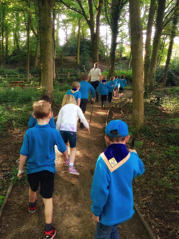  Beaver scouts on a nature trail