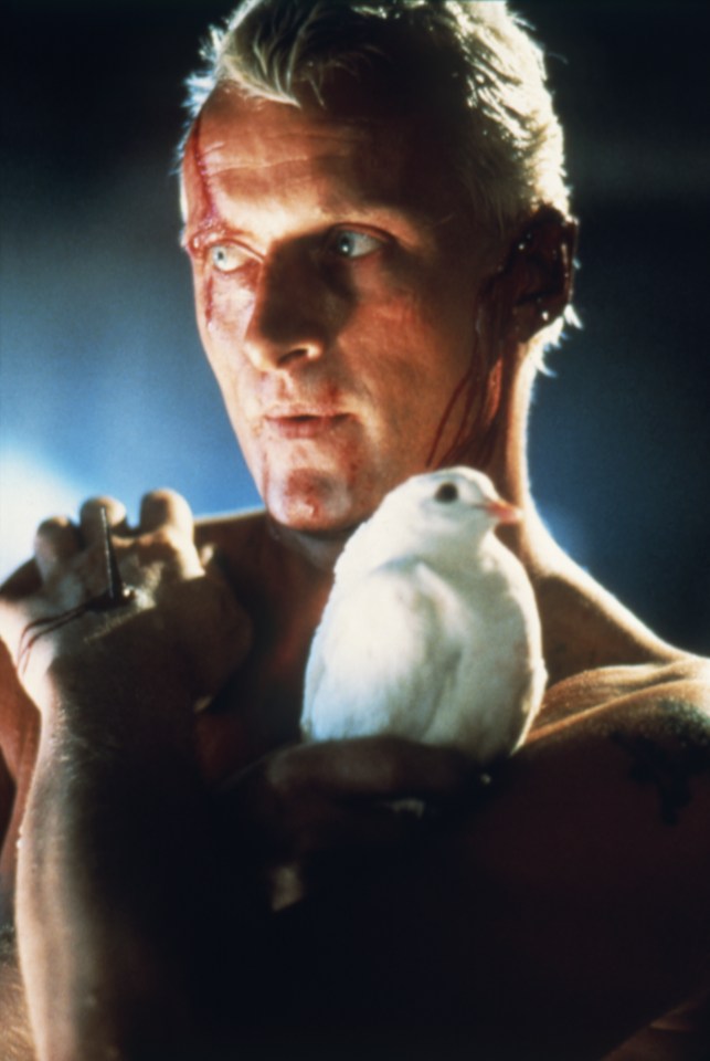  He starred in Ridley Scott's 1982 hit Blade Runner