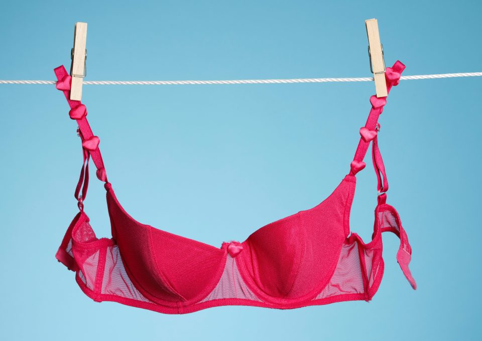  Bras should be washed after two to three wears - despite what Stella says