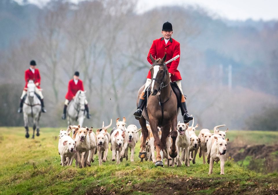  Hunting was banned by Labour