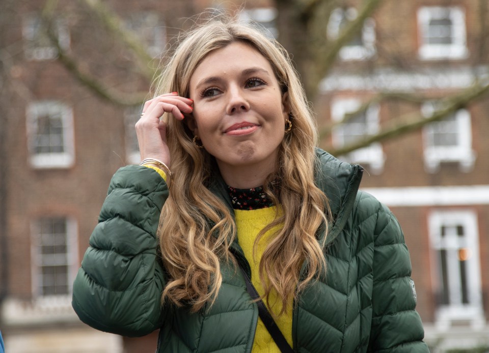  Carrie Symonds is an experienced PR expert