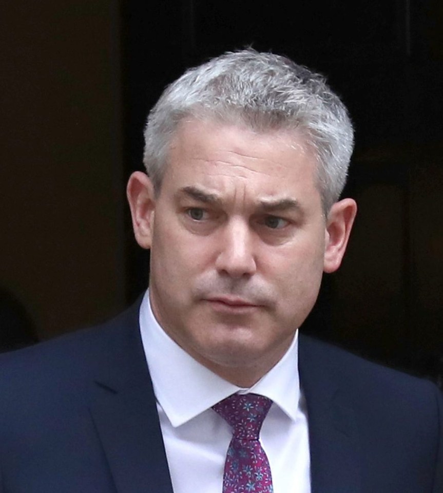 Another prominent Boris backer, Steve Barclay, was rewarded by staying on as Brexit Secretary, with a new remit to lead on the renegotiation with the EU