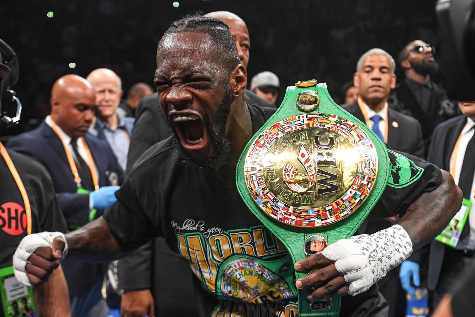  WBC champion Deontay Wilder slammed Whyte for the alleged failed test