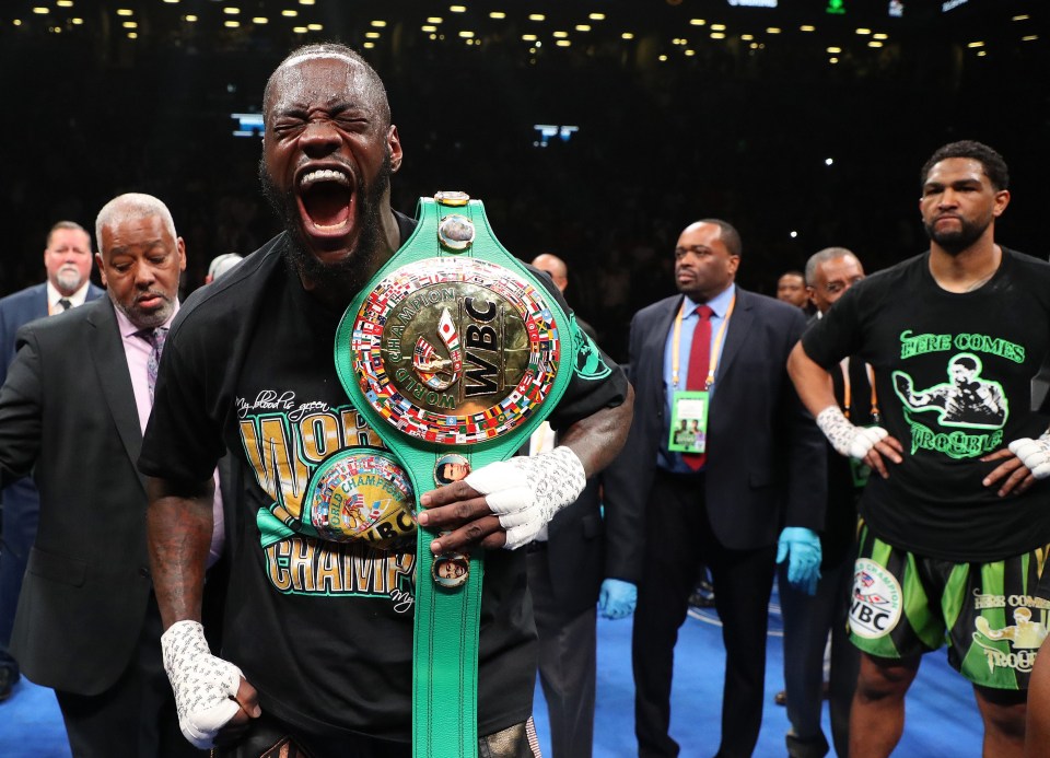 Wilder cruised past Dominic Breazeale in May