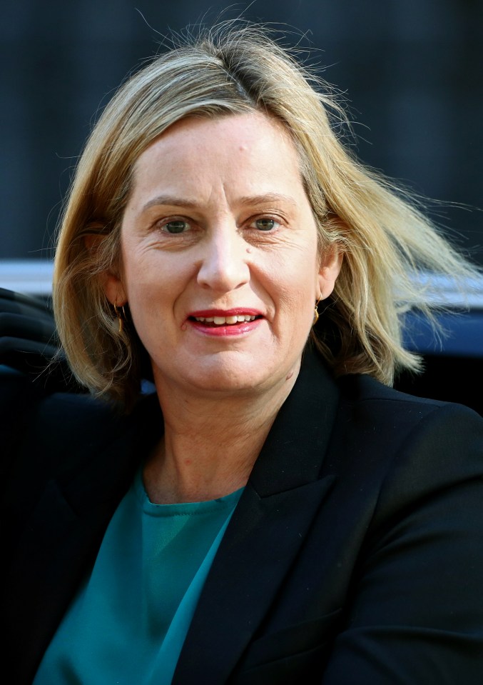  Amber Rudd has finally admitted that Britain may have to settle for a No Deal Brexit