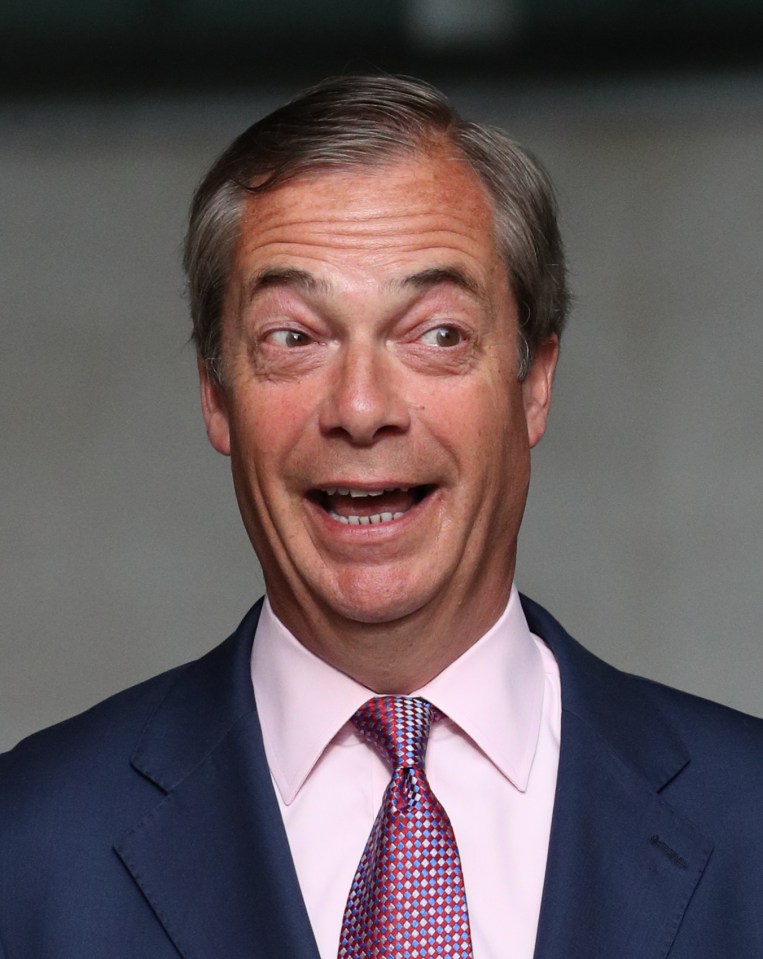  Nigel Farage's Brexit Party is chasing the Tories in the polls - and has even beaten them in one