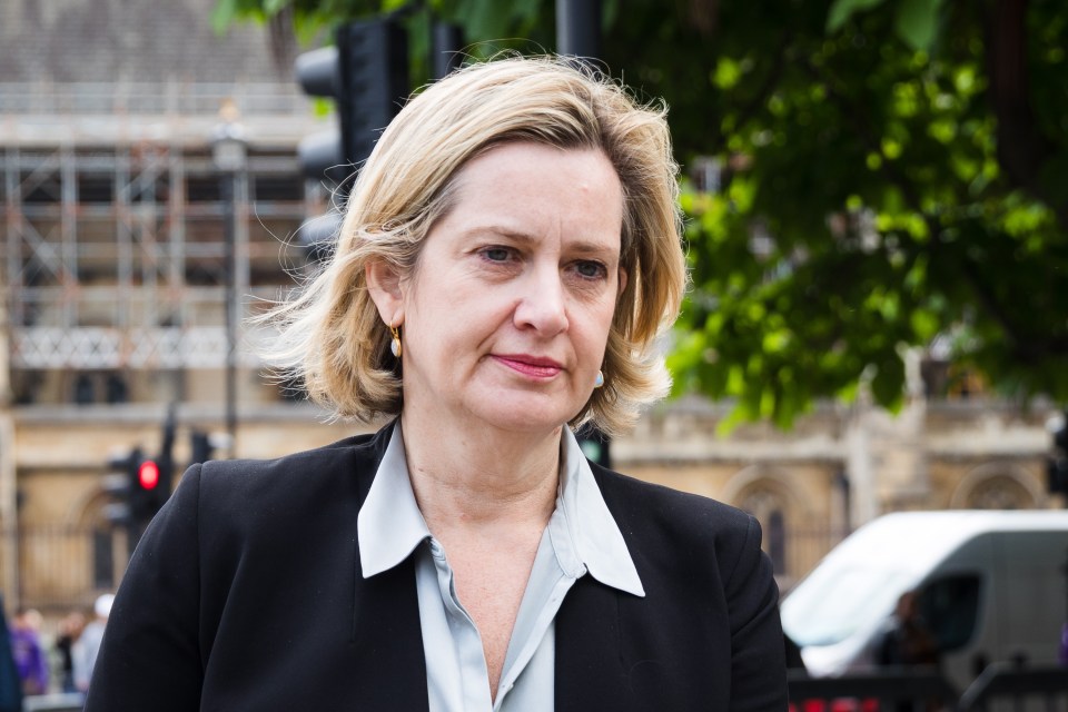  Rudd has hinted she would serve in a Boris cabinet