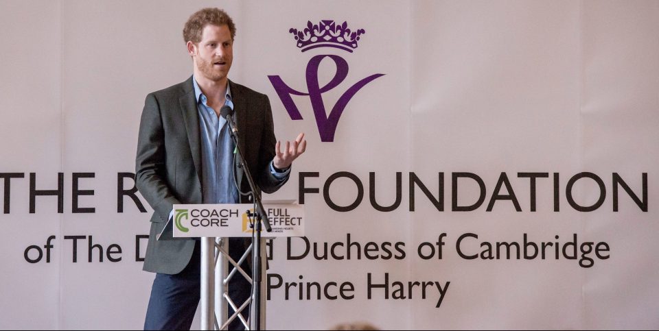  Princes Harry and William set up the Royal Foundation in 2009