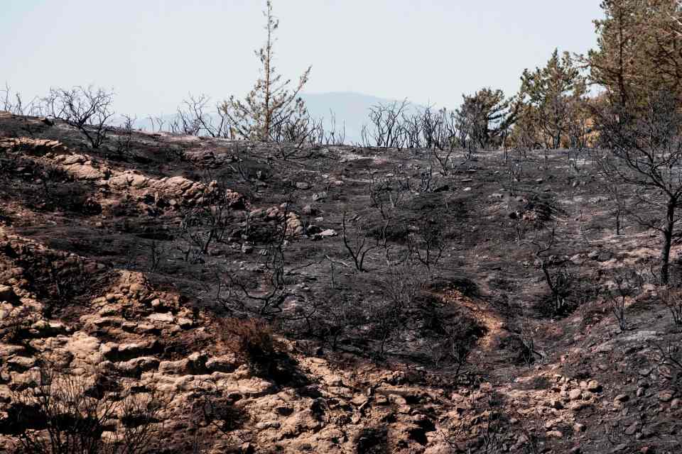  The charred hillside where the missile landed