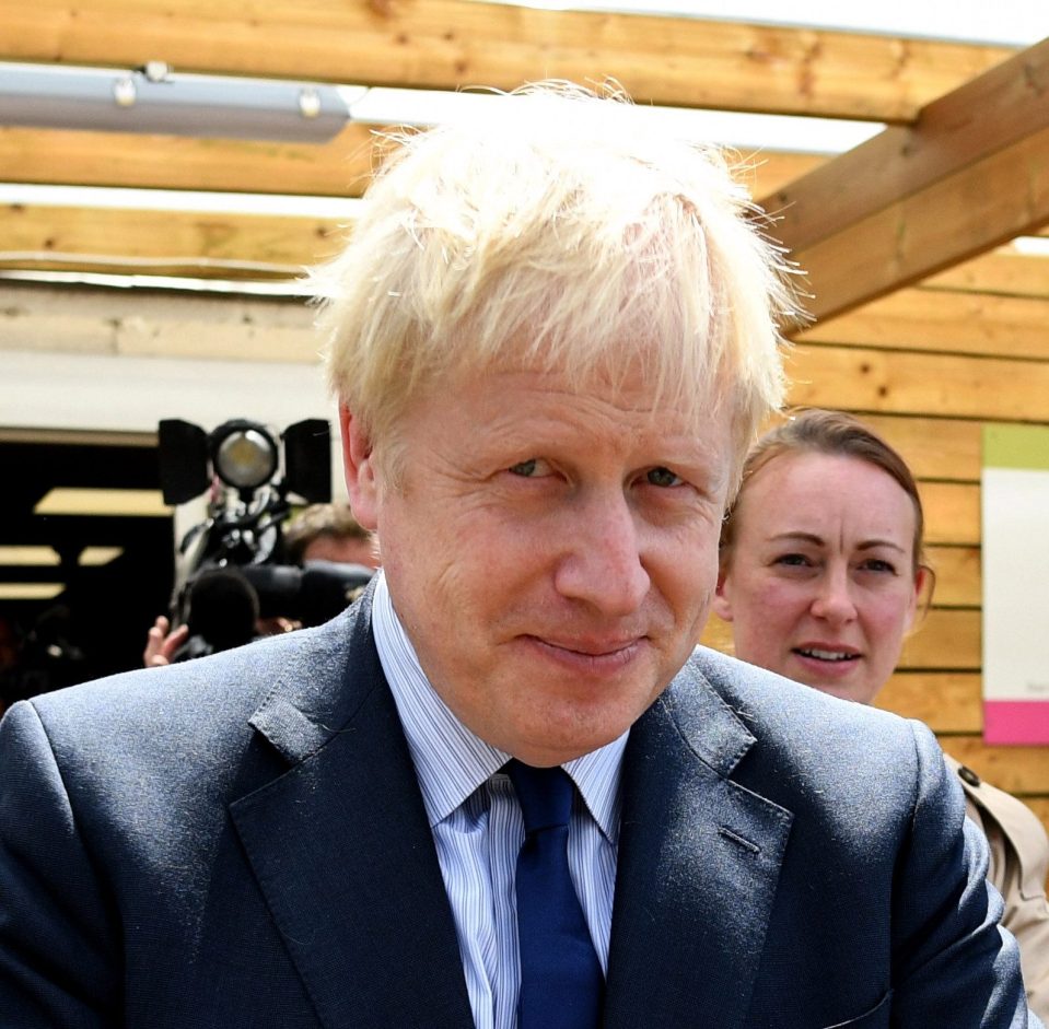  Boris Johnson is favourite to become the next Tory leader