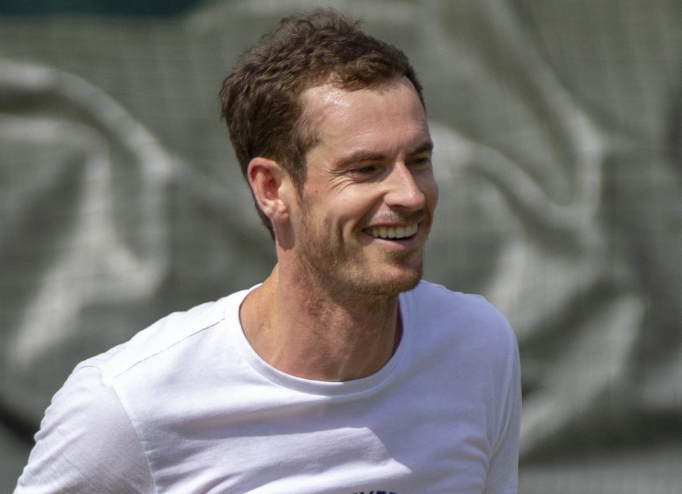 Andy Murray has dropped his strongest hint yet about a team up with Williams