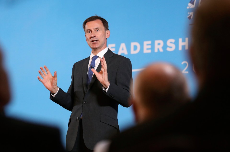  Jeremy Hunt also vowed to scrap the hated backstop plan