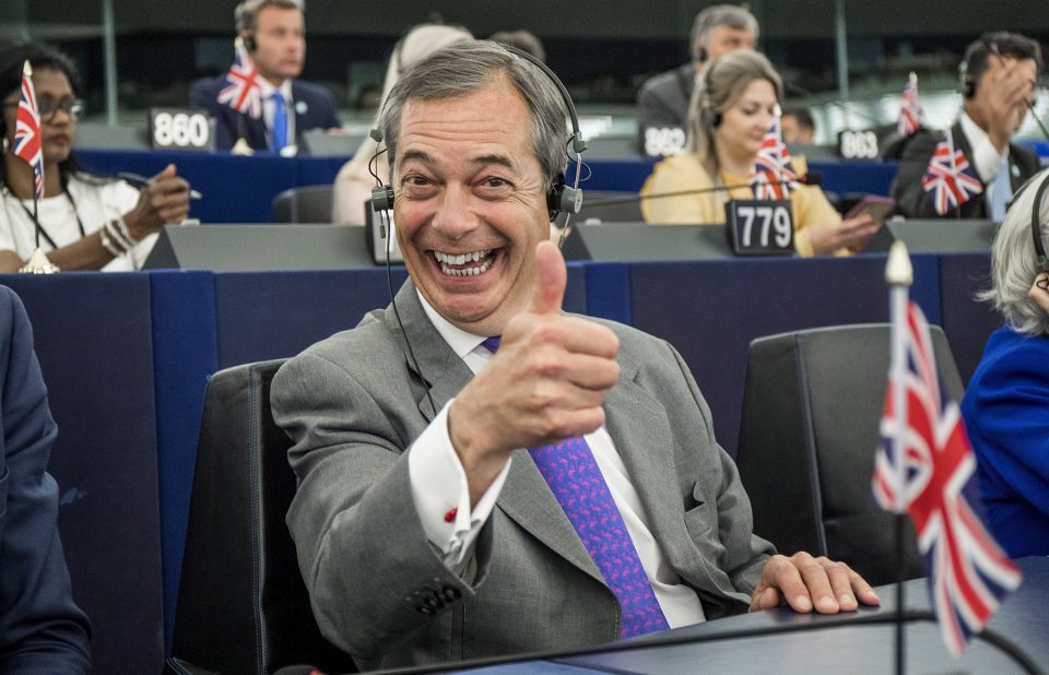  Nigel Farage looked delighted to be back in the European Parliament yesterday