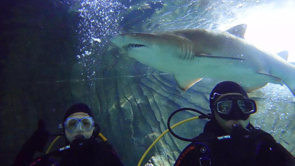  Vicky took to the ocean and faced her fear of sharks with her pal Dean Guthrie in Australia