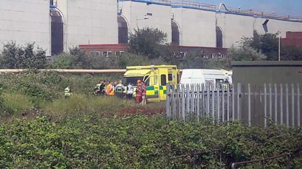 Paramedics rushed to the scene this morning but could not save the two people hit