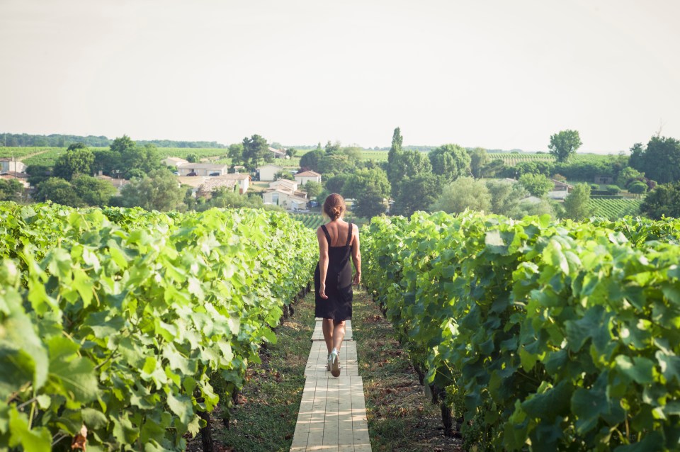  Stroll through one of Bordeaux's oldest vineyards at the Château Pape Clément