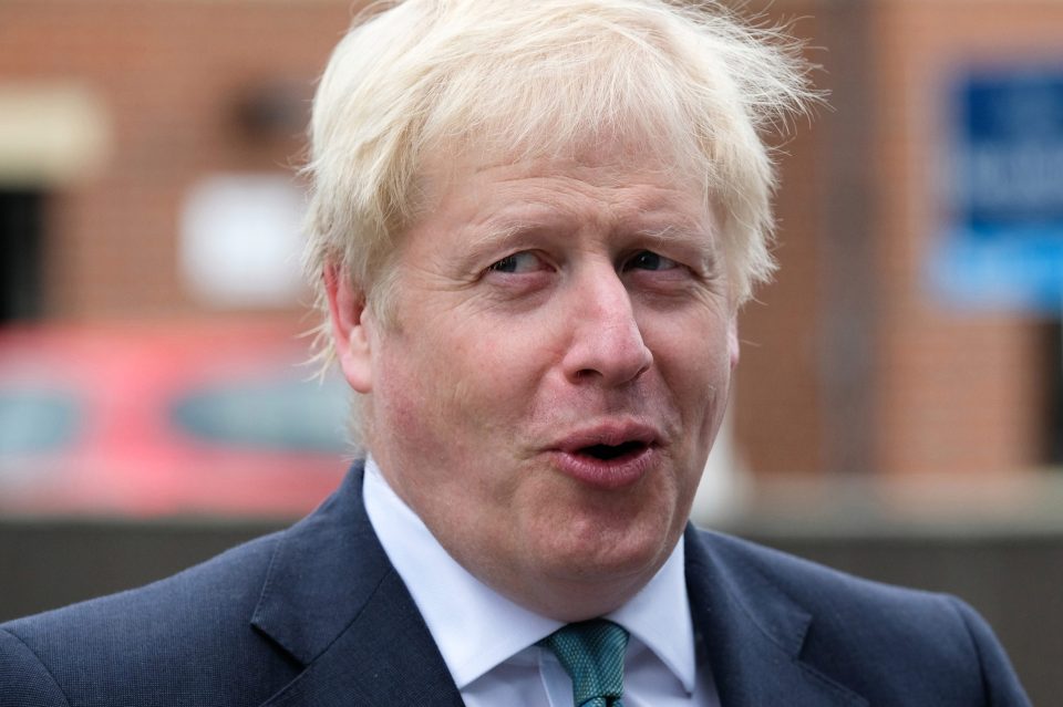  Boris will have to team up with other pro-Brexit parties, one of his allies warned