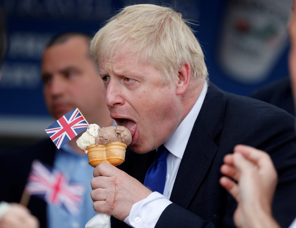  Most Tories think Boris is set to win the leadership race