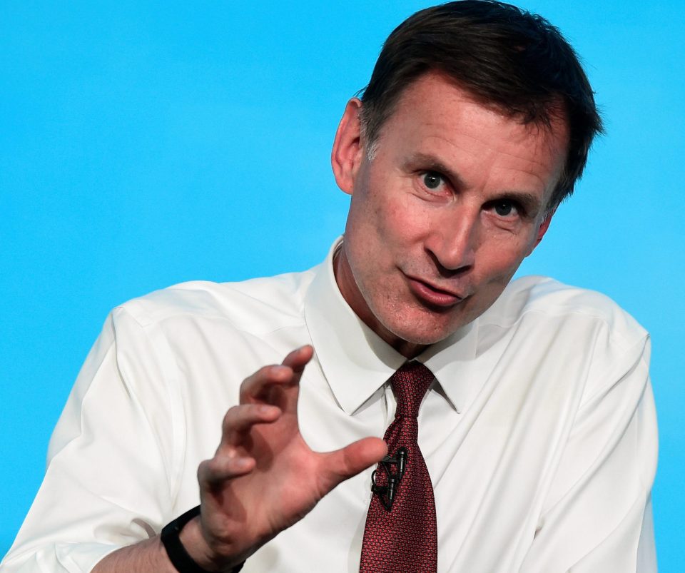  Jeremy Hunt is a Remainer who supported Theresa May