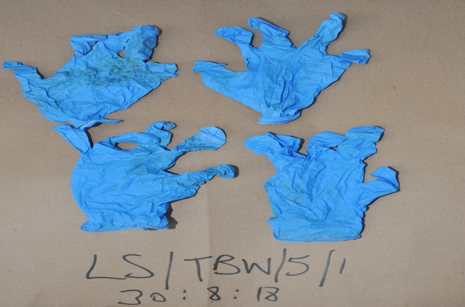  A pair of blue surgical gloves found at Tanner's Brook, Southampton, near to the body of the murdered schoolgirl