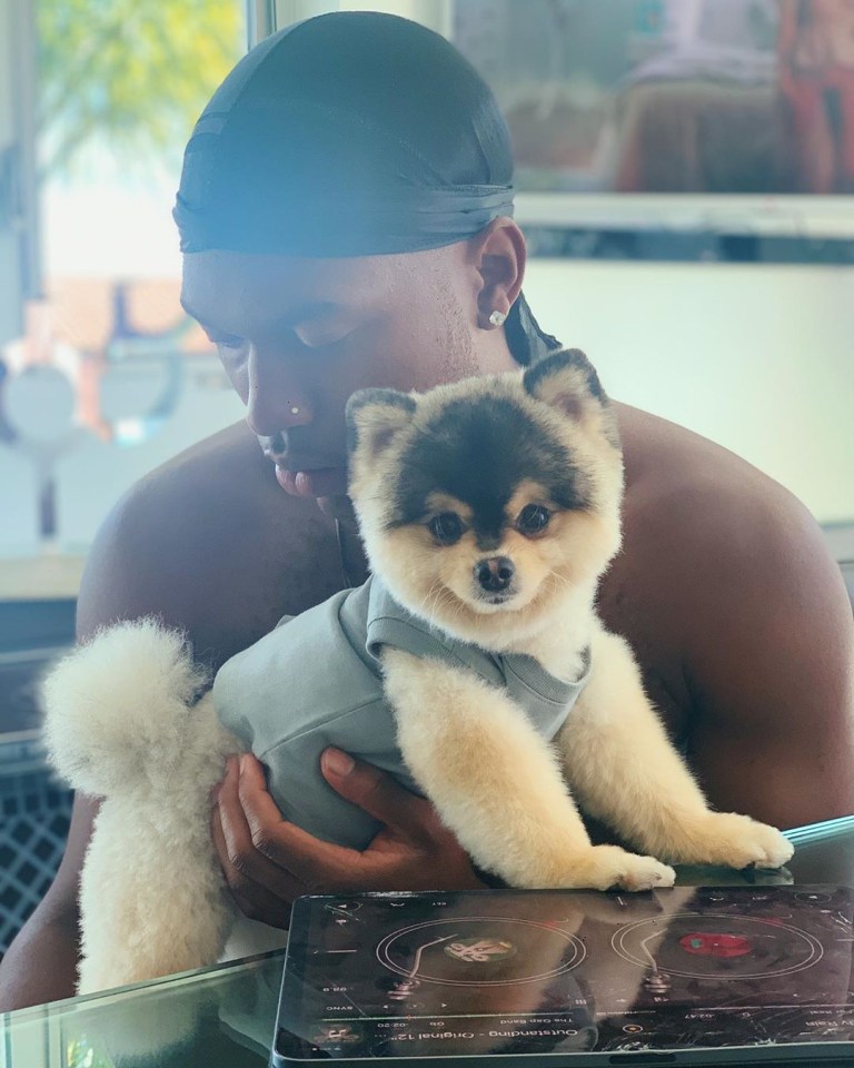  Daniel Sturridge promised to pay £30k to have his kidnapped dog back