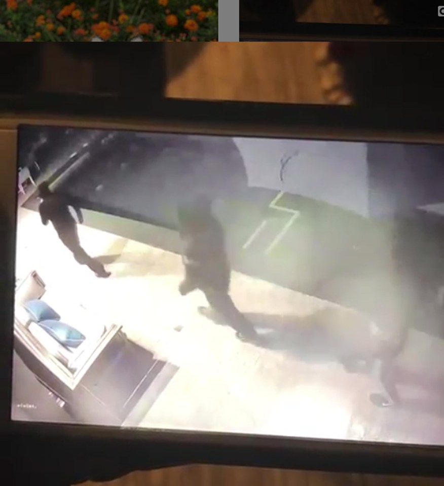  Sturridge also shared CCTV footage showing the dognappers entering the house