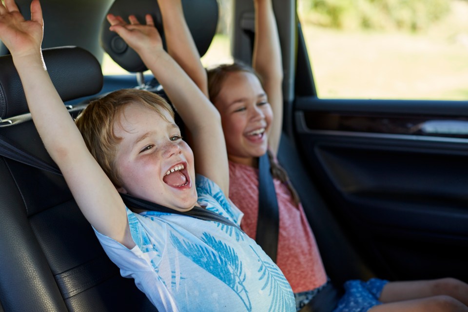  The product is ideal for those taking young children on long car journeys