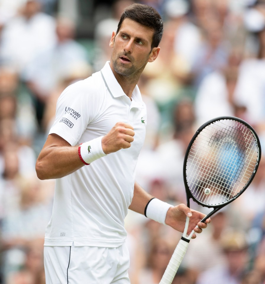 Novak Djokovic thumped David Goffin in straight sets to reach the Wimbledon semi-finals