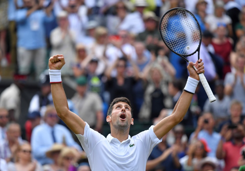 Novak Djokovic lets out a scream of celebration after sealing his place in the Wimbledon semi-final