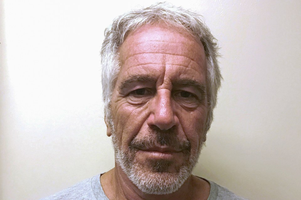  Jeffrey Epstein was given a 'sweetheart deal' in 2008 because it was believed he was an 'intelligence asset'