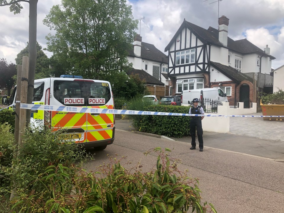 Police rushed to the scene on Malvern Drive in Woodford Green about 11pm