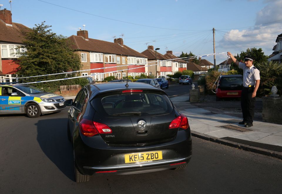  Akbar Arezo, 64, and Layla Arezo, 74, were found fatally stabbed in their bedroom