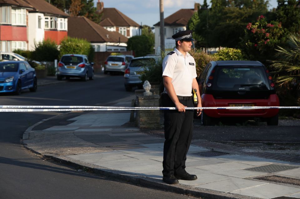 Neighbours said 'there was blood everywhere' and that they ' heard screams at around 2am but they stopped very suddenly'