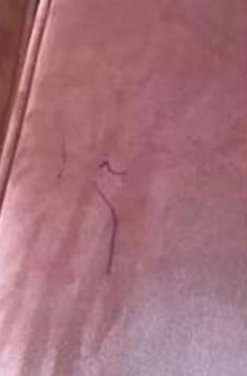 Mum Sarah Rhodes revealed how she removed this pen mark using hairspray and a damp cloth