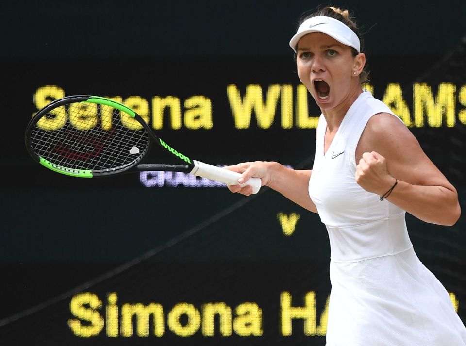  Simona Halep stunned Serena Williams to claim the Wimbledon title