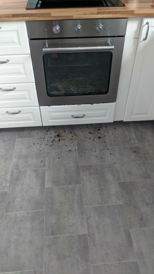  The shards of glass that exploded from the oven were so hot that they scorched the kitchen floor