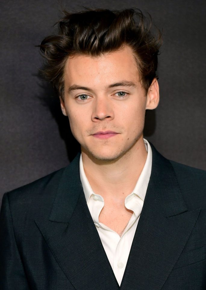  Harry is in talks to play Prince Eric in the new Little Mermaid remake