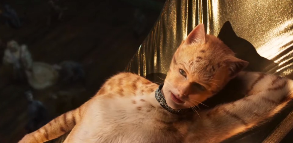  Taylor Swift makes her first film appearance in the movie adaptation of Cats