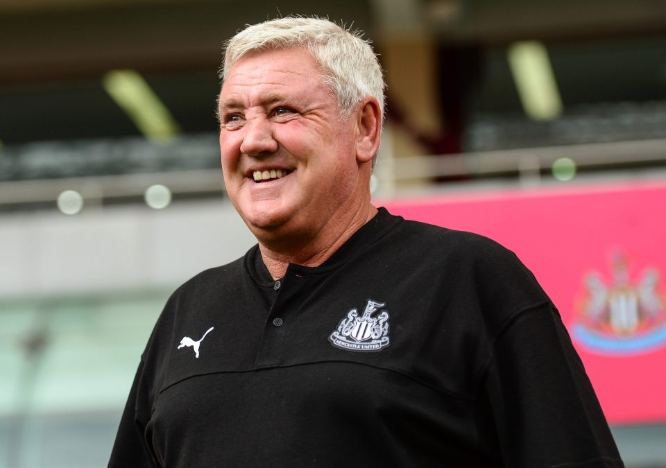 Steve Bruce had to watch the game from the stands as he did not have a working visa